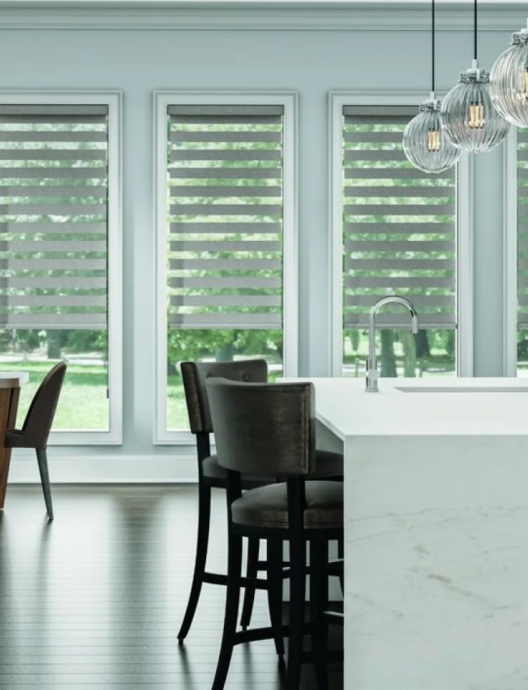 Zebra discount window blinds