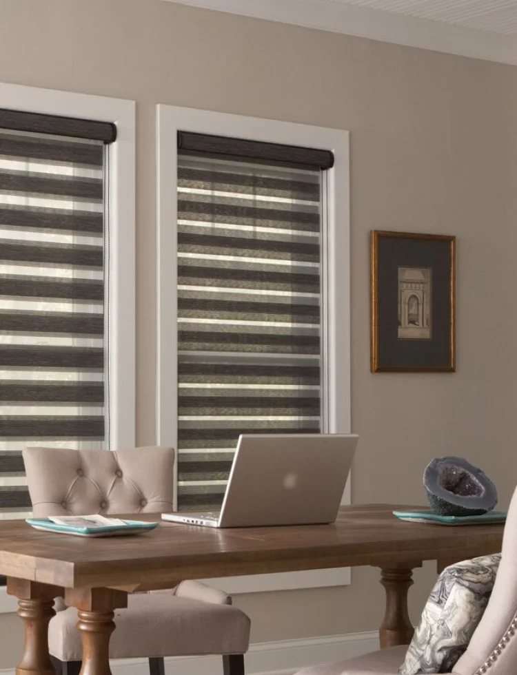 Motorized Shades Tampa